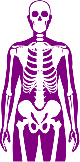 Musculoskeletal Disorders